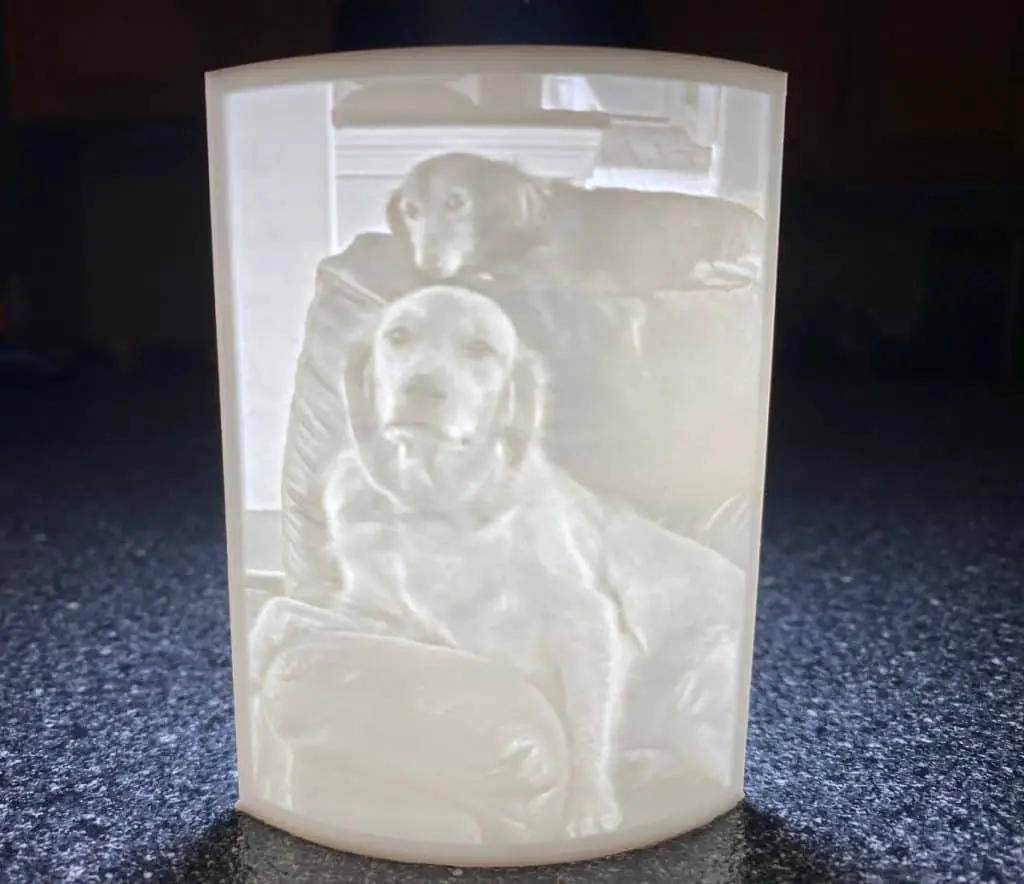 Lithophane of dogs